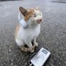 lmrk profil fotoğrafı