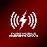 PUBG MOBILE ESPORTS NEWS's profile picture