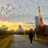 Фото профиля シャネファレ