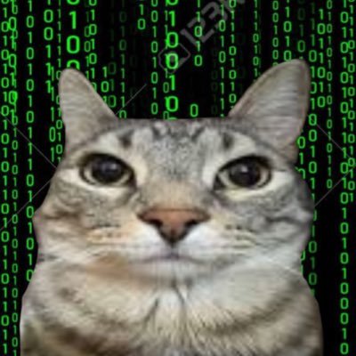 すかいぴーす's profile picture