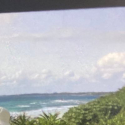 vvv2A_pr's profile picture