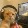 eddie~'s profile picture