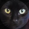 Profilbild von TrippingSirius