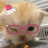 นวน้ำหวาน's profile picture