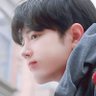 starry🐢's profile picture