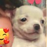 恋の景色(元、小雪です)'s profile picture
