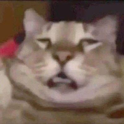 Dewdew0077's profile picture