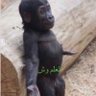 MOH’D profil fotoğrafı