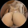 Gatita Romana profil fotoฤrafฤฑ