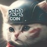 Profilbild von #P2PZ Crypto