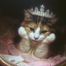Meyra's profile picture
