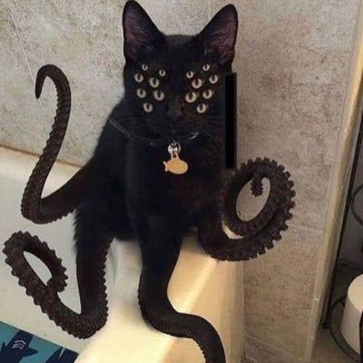 headlicehatesu's profile picture
