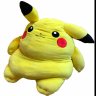 chonk's profile picture