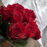 Фото профиля Gustavo🌹