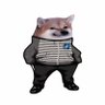 Profilbild von emo ji UA FR EU