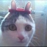 eski gsli's profile picture