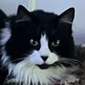 Tube Viewer's profile picture