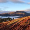 Фото профиля Natural Trossachs 🏴🇿🇦
