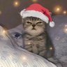 Profilbild von boredguy