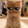 Profilbild von chrissyx