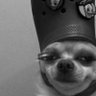 Profilbild von kboy