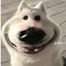 Фото профиля 𝐄𝐩𝐬𝐢𝐥𝐨𝐧_𝐗𝐈𝐕 🐶