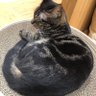 じす。🍹 的头像