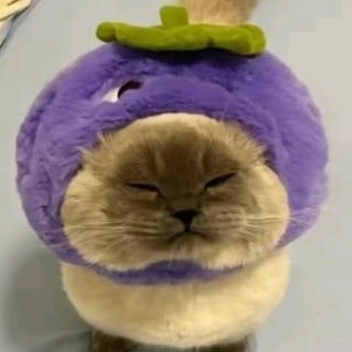 kira (fan account)'s profile picture