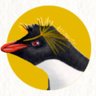 ほっぱ〜ぺんぎん profil fotoğrafı