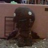Profilbild von Sloth3900