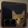 DR_zorro:v's profile picture