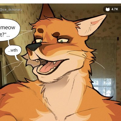 miatassme ‼️'s profile picture