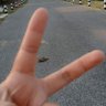ชาย ใจสิงห์ profil fotoğrafı
