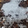 idontlikesand 的头像