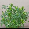 pankajgupta8888's profile picture