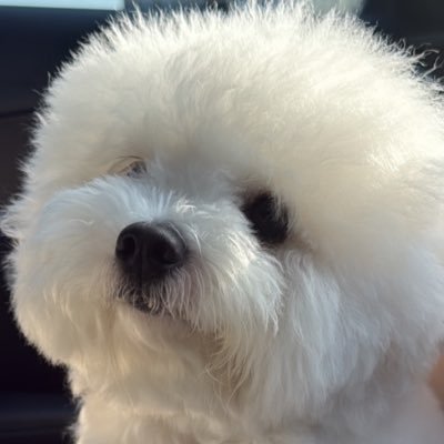바스🏀's profile picture