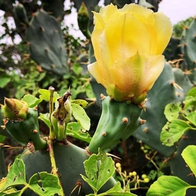 Rajam Kumar ( Age 56)'s profile picture