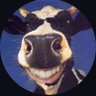 Sammykinvg's profile picture