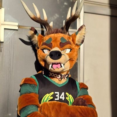 Sol_HybridDeer's profile picture