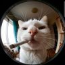 Tik crypto profil fotoğrafı