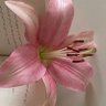 Фото профиля 🌺