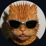 Gato de Óculos's profile picture