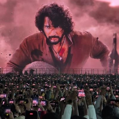 🧭's profile picture