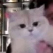 누룽지's profile picture