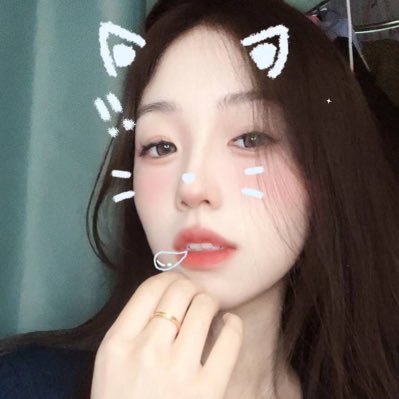 番茄抖音复盘's profile picture