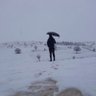 seyyah profil fotoğrafı