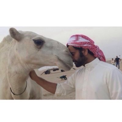 k0qa3's profile picture