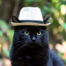 Profilbild von Whiteh4t, M.D.