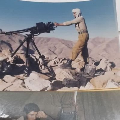 payamkharazi's profile picture
