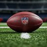 NFL Numbers Guy 的头像
